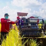 Kebutuhan Gabah Kering di Kabupaten Mojokerto Surplus 68 ribu ton