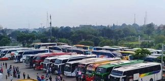 TARIF BUS KELAS EKONOMI