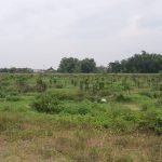 Proyek GOR Pemkab Kediri Mandek