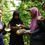 Petani Muhammad Fatihul Munir saat memanen melon dilokasi greenhouse yang terletak di desa Mojotrisno, Minggu (21/7/2024). Bongkah.id/Karimatul Maslahah/