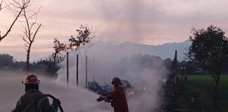 Petugas melakukan pembasahan kandang ayam yang terbakar di Ngoro, Jombang, Kamis (11/7/2024).