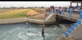 Sejumlah bocah berenang di pintu air Desa Kepuhkajang, Kecamatan Perak, Kabupaten Jombang. Bongkah.id/Karimatul Maslahah/