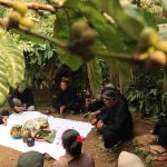 Ritual Wiwit Kopi di Kampung Adat Segunung Wonosalam. Bongkah.id/Karimatul Maslahah/