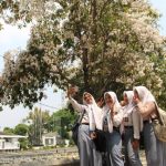 para siswa saat menikmati bunga Tabebuya yang bermekaran di alun-alun Jombang. Bongkah.id/Karimatul Maslahah/