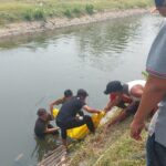 evakuasi jasad wanita di sungai Desa Sukorejo, Jombang./bongkah.id/Karimatul Maslahah/