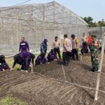 Kapolsek Balongbendo bersama anggota dan Bhabinkamtibmas, perangkat desa dan kelompok tani setempat melakukan peninjauan ke lokasi