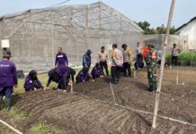 Kapolsek Balongbendo bersama anggota dan Bhabinkamtibmas, perangkat desa dan kelompok tani setempat melakukan peninjauan ke lokasi