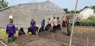 Kapolsek Balongbendo bersama anggota dan Bhabinkamtibmas, perangkat desa dan kelompok tani setempat melakukan peninjauan ke lokasi