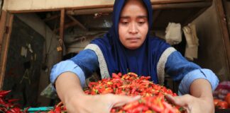 Pedagang cabai di pasar tradisional Citra Niaga Jombang./bongkah.id/Karimatul Maslahah/