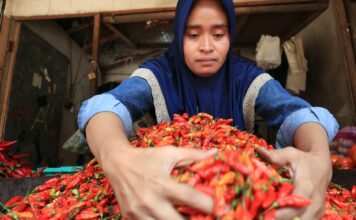 Pedagang cabai di pasar tradisional Citra Niaga Jombang./bongkah.id/Karimatul Maslahah/