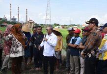 Menteri Koordinator Bidang Pangan Zulkifli Hasan menemui para petani di Desa Mliriprowo, Kecamatan Tarik Kabupaten Sidoarjo .