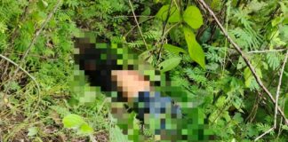 Kondisi pria tanpa identitas usai ditemukan warga di hutan Marmoyo, Kabuh, Jombang./bongkah.id/Karimatul Maslahah/