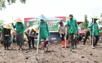 Penanaman jagung oleh Polresta Mojokerto.