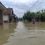 Desa Talunkidul, Sumobito, Jombang terendam banjir./bongkah.id/Karimatul Maslahah/