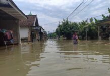 Desa Talunkidul, Sumobito, Jombang terendam banjir./bongkah.id/Karimatul Maslahah/