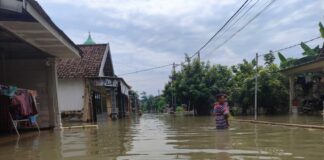 Desa Talunkidul, Sumobito, Jombang terendam banjir./bongkah.id/Karimatul Maslahah/