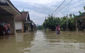 Desa Talunkidul, Sumobito, Jombang terendam banjir./bongkah.id/Karimatul Maslahah/