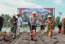 Kapolres Jombang AKBP Ardi Kurniawan saat melakukan kegiatan tanam jagung bersama di Desa Balongsari, Megaluh./bongkah.id/Karimatul Maslahah/