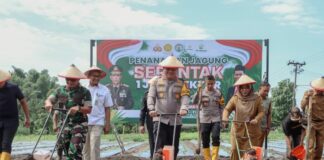 Kapolres Jombang AKBP Ardi Kurniawan saat melakukan kegiatan tanam jagung bersama di Desa Balongsari, Megaluh./bongkah.id/Karimatul Maslahah/