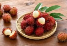 Ilustrasi buah rambutan. Istimewa