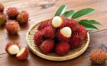 Ilustrasi buah rambutan. Istimewa