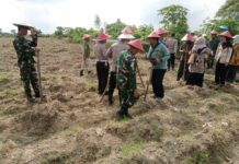 Kapolsek Tarik bersama Pimpinan Kecamatan menanam jagung