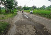 Jalan penghubung antar desa Paringan dan Lakardowo, Jetis, Mojokerto kondisinya rusak parah