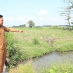 Sekretaris Desa Tambar saat menunjukkan saluran irigasi sawah aliran limbah tahu./ bongkah.id/Karimatul Maslahah/