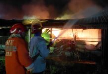 Kebakaran hebat melanda kandang ayam milik PT Satwa Utama Raya di Desa Genukwatu, Kecamatan Ngoro, Kabupaten Jombang, Jawa Timur, Selasa (20/5/2025)