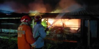 Kebakaran hebat melanda kandang ayam milik PT Satwa Utama Raya di Desa Genukwatu, Kecamatan Ngoro, Kabupaten Jombang, Jawa Timur, Selasa (20/5/2025)