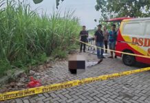 Pria tanpa identitas ditemukan meninggal di tepi jalan raya Peterongan, Jombang, Selasa (20/5/2025). Bongkah.id/Karimatul Maslahah/