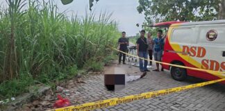 Pria tanpa identitas ditemukan meninggal di tepi jalan raya Peterongan, Jombang, Selasa (20/5/2025). Bongkah.id/Karimatul Maslahah/