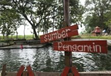 Sumber pengantin yang terletak di Desa/Kecamatan Jogoroto, Jombang./bongkah.id/Karimatul Maslahah/