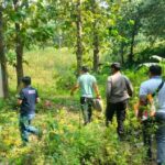 petugas saat mengevakuasi jasad Paimo di hutan Klubuk, Kabuh, Jombang./bongkah.id/Karimatul Maslahah/
