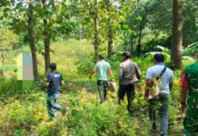 petugas saat mengevakuasi jasad Paimo di hutan Klubuk, Kabuh, Jombang./bongkah.id/Karimatul Maslahah/