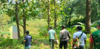 petugas saat mengevakuasi jasad Paimo di hutan Klubuk, Kabuh, Jombang./bongkah.id/Karimatul Maslahah/