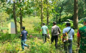 petugas saat mengevakuasi jasad Paimo di hutan Klubuk, Kabuh, Jombang./bongkah.id/Karimatul Maslahah/