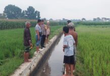 Polisi melihat lokasi pria tersambar petir di jarak, Jogoroto, Jombang, Minggu (1/6/2025). Bongkah.id/Karimatul Maslahah/