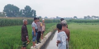 Polisi melihat lokasi pria tersambar petir di jarak, Jogoroto, Jombang, Minggu (1/6/2025). Bongkah.id/Karimatul Maslahah/