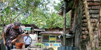 Sumur di rumah lahir Bung Karno di Desa Rejoagung Ploso Jombang./bongkah.id/Karimatul Maslahah/