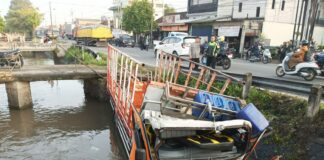 Truk muatan ayam potong terguling dan masuk sungai Perak Jombang./bongkah.id/Karimatul Maslahah/