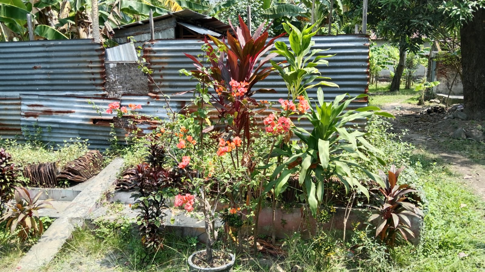 1000825962 Rumah yang disinyalir tempat kelahiran sang proklamator Ir Soekarno di Ploso Jombang./bongkah.id/Karimatul Maslahah/