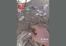 Tanggapan layar pocong muncul ke permukaan.