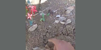 Tanggapan layar pocong muncul ke permukaan.