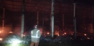 petugas damkar jombang saat melakukan pembasahan kebakaran kandang ayam./bongkah.id/Karimatul Maslahah/