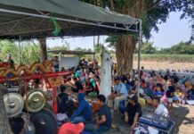 kegiatan sedekah desa di Dusun Jaten, Jatipelem, Diwek, Jombang./bongkah.id/Karimatul Maslahah/