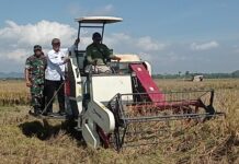Wamentan RI Sudaryono saat Acara Panen Raya di Jember. Bongkah id/Muhammad Hatta/