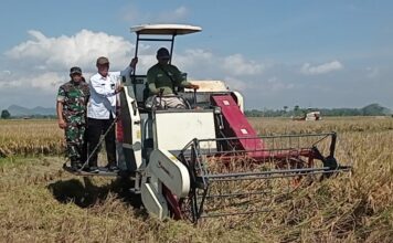 Wamentan RI Sudaryono saat Acara Panen Raya di Jember. Bongkah id/Muhammad Hatta/