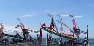 Petik laut di Muncar Banyuwangi, Sabtu (12/7/2025).. Bongkah id/Muhammad Hatta/