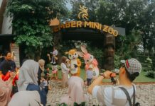 Lokasi wisata dan Edukasi Keluarga Jember Mini Zoo. (Sumber foto akun IG @jemberminizoo).